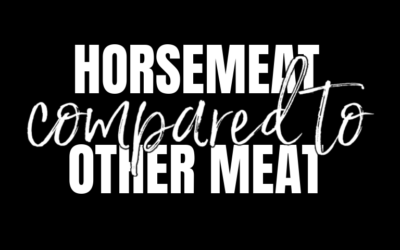 WHY NOT EAT HORSEMEAT?