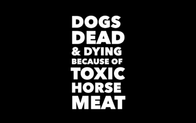 HORSEMEAT KILLS DOGS