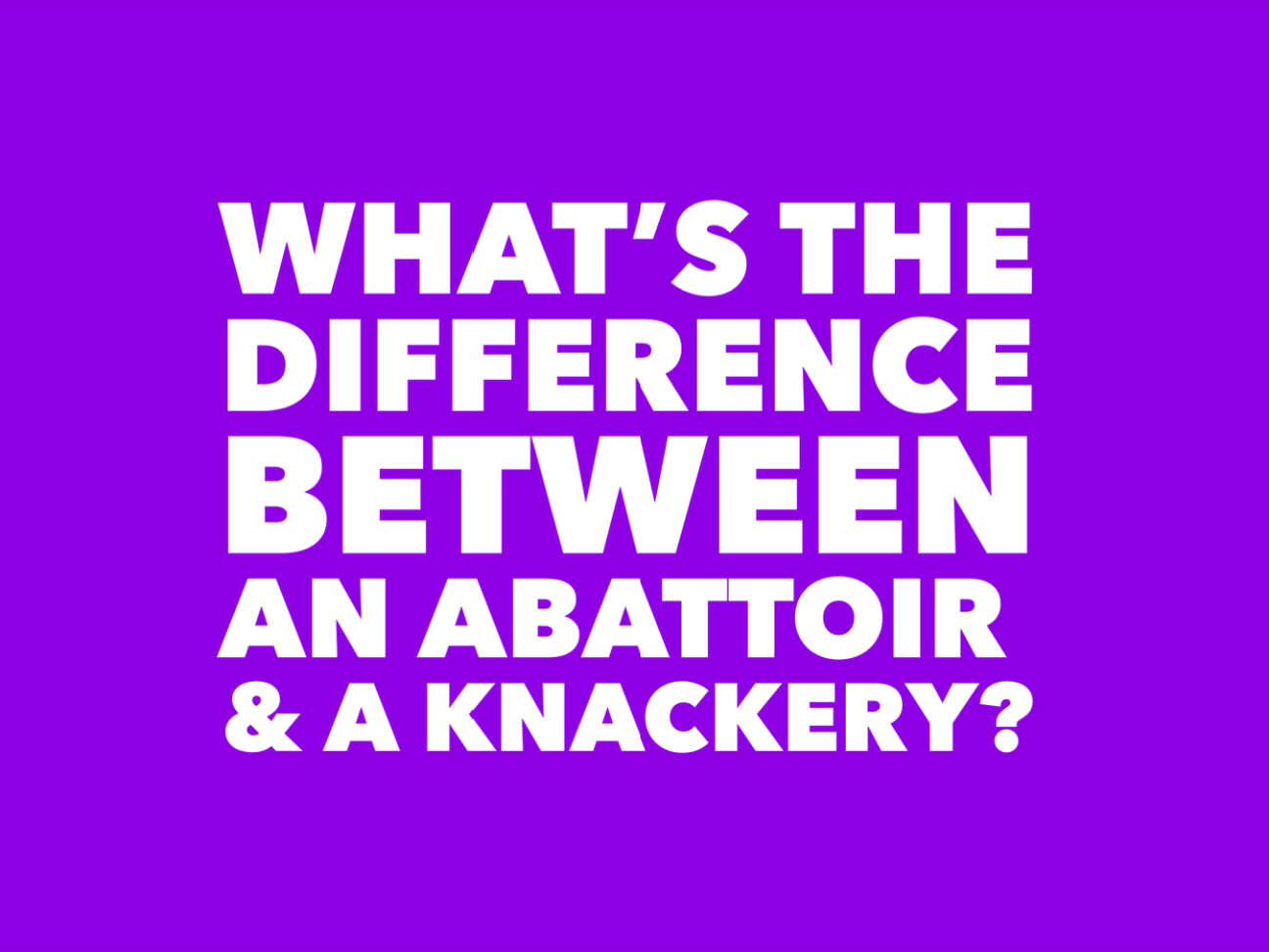 abattoir-versus-knackery-meet-our-horse-meat