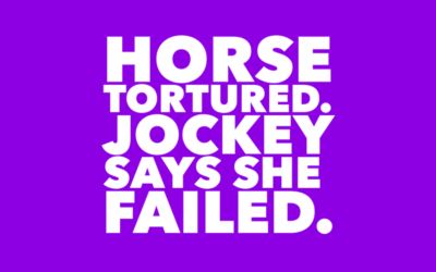 BELOVED HORSE TORTURED