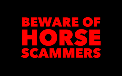 BEWARE OF HORSE SCAMMERS