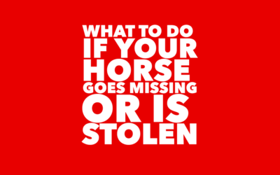 WHAT TO DO IF YOUR HORSE IS STOLEN OR GOES MISSING