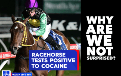 RACEHORSE TESTS POSITIVE FOR COCAINE
