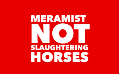 MERAMIST ABATTOIR NOT SLAUGHTERING HORSES