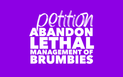 BRUMBY PETITION