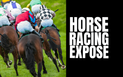 60 MINUTES:  HORSE RACING REFORM?