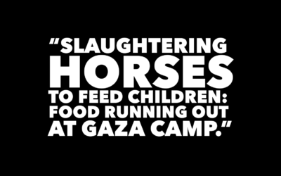 GAZA FAMILIES SLAUGHTER HORSES