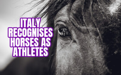 ITALY DESIGNATES HORSES AS ATHLETES
