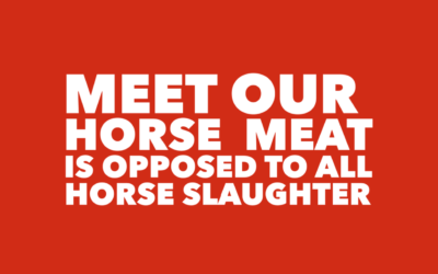WHY THE NAME MEET OUR HORSE MEAT?