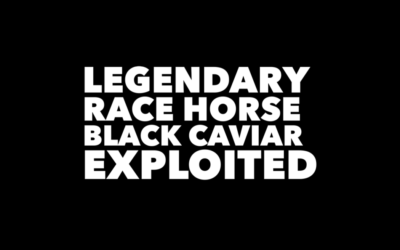 BLACK CAVIAR