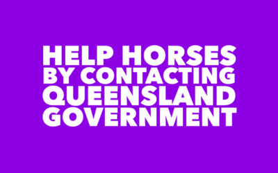 HELP HORSES: CONTACT QUEENSLAND GOVERNMENT