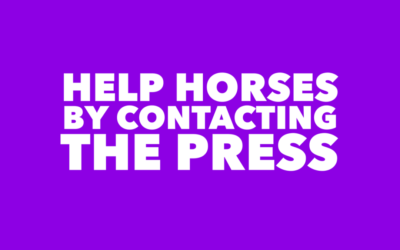 HELP HORSES CONTACT THE PRESS