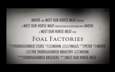 FOAL FACTORIES