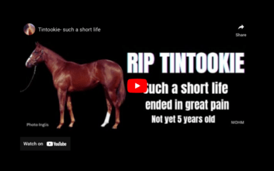 TINTOOKIE (VIDEO)