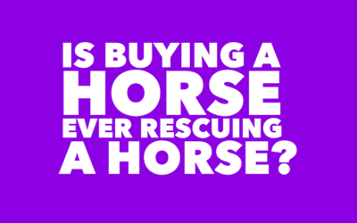 BUYING VERSUS RESCUING