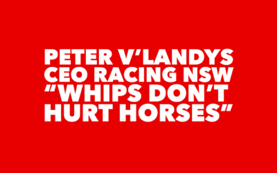 HORSE RACING CEO IGNORES VETERINARIANS