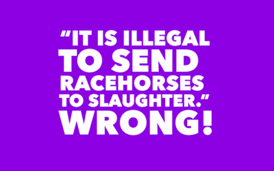 ILLEGAL TO SEND HORSES TO SLAUGHTER?