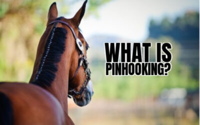 PINHOOKING