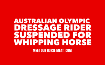 OLYMPIC DRESSAGE RIDER SUSPENDED