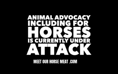 HORSE ADVOCACY UNDER ATTACK