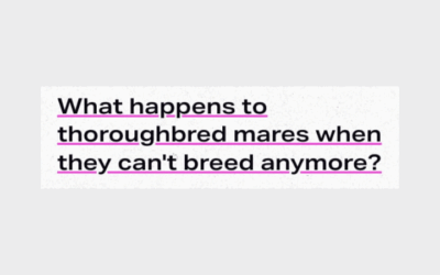THE BROODMARE LIE