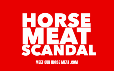 HORSE MEAT SCANDAL UPDATE