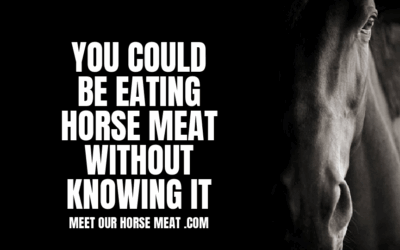 HORSE MEAT FRAUD IN AUSTRALIA