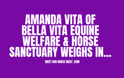 BELLA VITA EQUINE WELFARE AND HORSE SANCTUARY