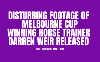 DARREN WEIR JIGGER VIDEO