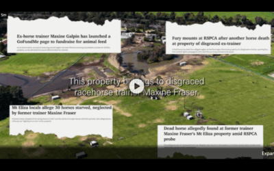 VIDEO:  MOUNT ELIZA NEGLECTED HORSES?