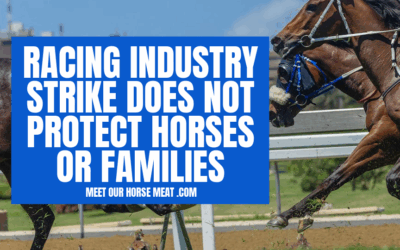 UK RACING INDUSTRY STRIKE