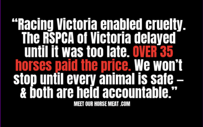 MAXINE FRASER HORSES SEIZED