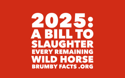 A BILL TO SLAUGHTER EVERY SURVIVING BRUMBY?