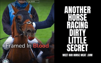 WINNER OF MELBOURNE CUP BLOOD IN MOUTH