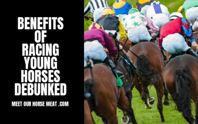 RACING YOUNG HORSES IS NOT GOOD