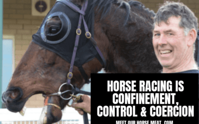 HORSES LOVE TO RACE?