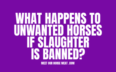 HORSE SLAUGHTER IS NOT NECESSARY