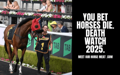 HORSE RACING DEATH WATCH 2025