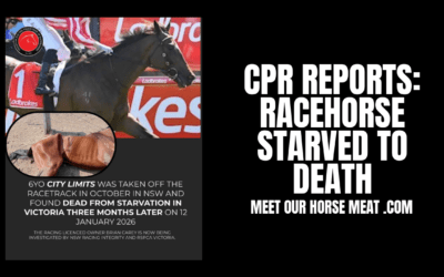 BRIAN CAREY STARVES HORSE(S) TO DEATH?