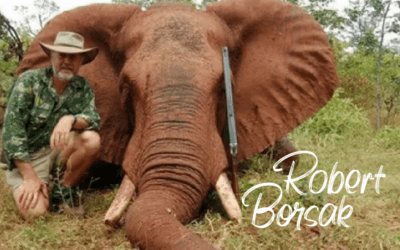 ROBERT BORSAK’S BRUMBY BETRAYAL