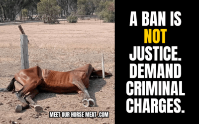 PUSH BUTTON DONE-FOR-YOU EMAIL