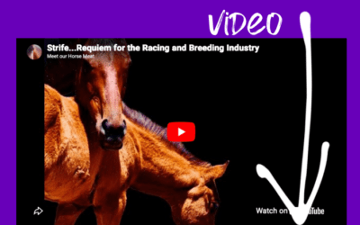 THOROUGHBRED BREEDING IN DECLINE?