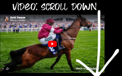 GOLD DANCER WINS WITH A BROKEN BACK