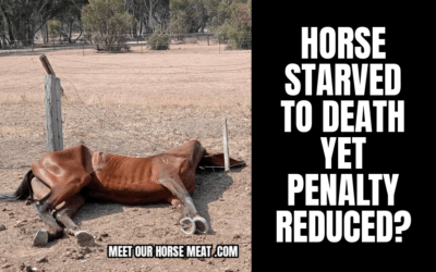 BRIAN CAREY STARVES HORSE TO DEATH