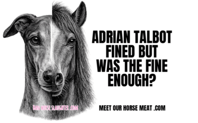 ADRIAN TALBOT GUILTY & FINED